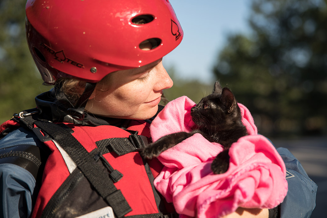 a responder comforting a kitten