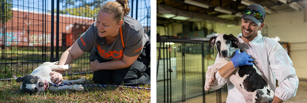 ASPCA rescue team members with rescued dogs