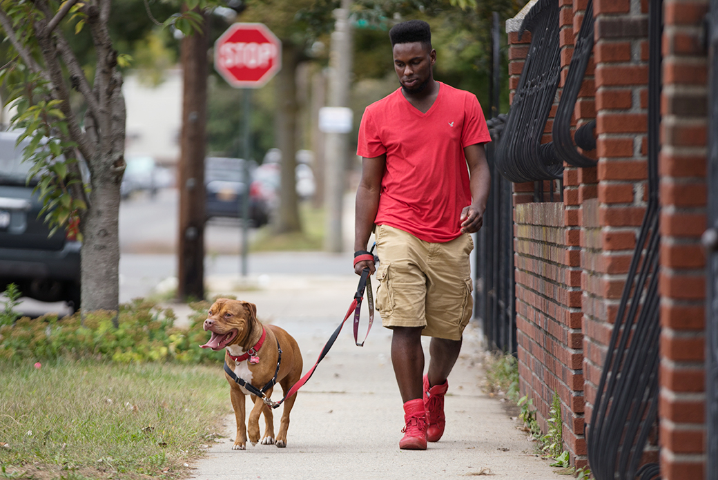 Gemar and Juice going for a walk