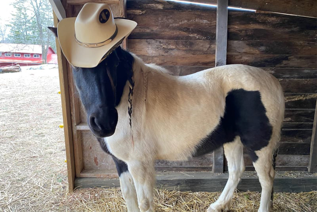 Diva in a hat