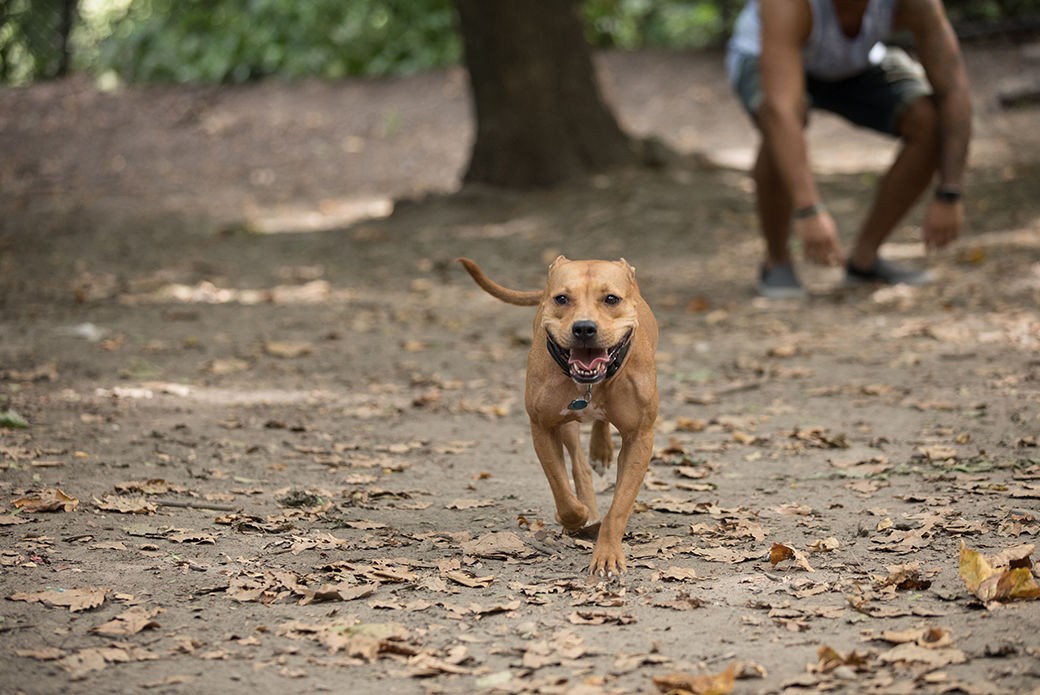 Frannie running