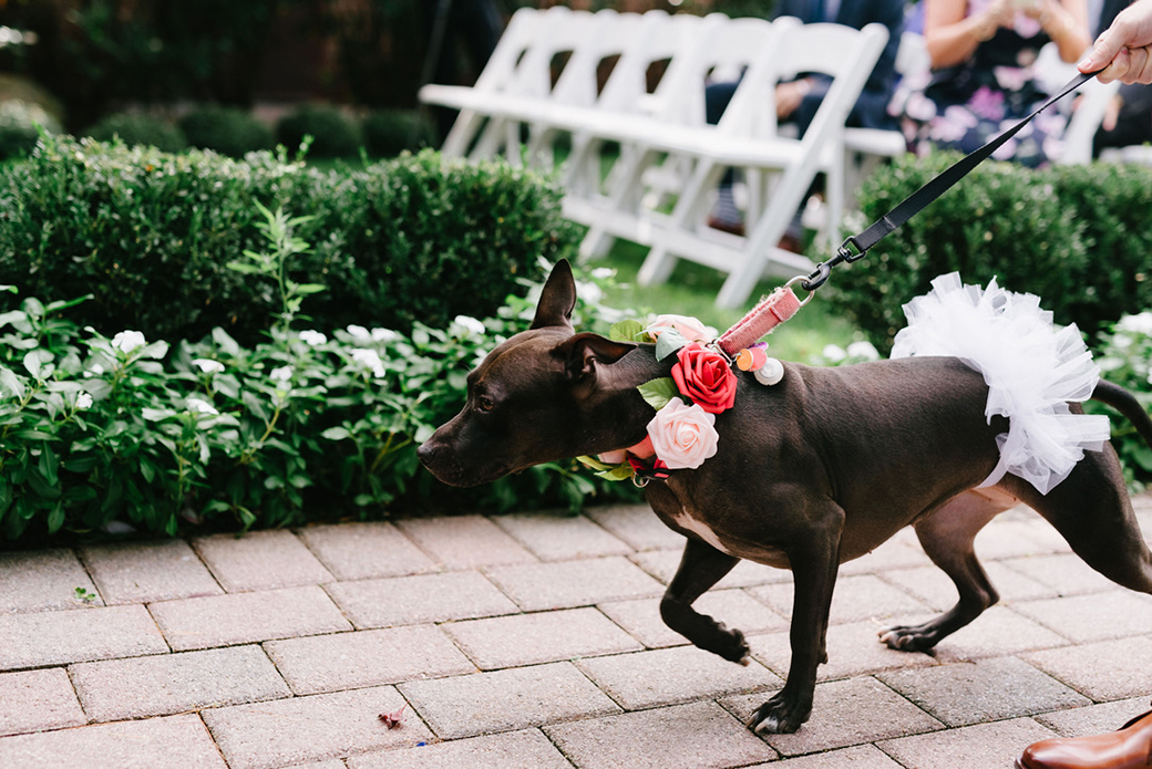 Ginny dressed for Nick and Claires wedding