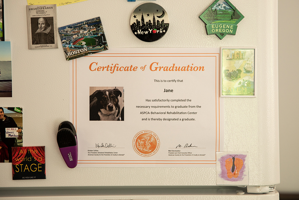 Lily's graduation certificate