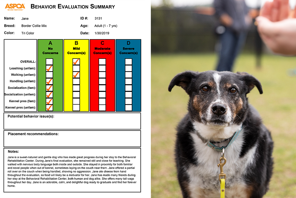 Lily and her final evaluation