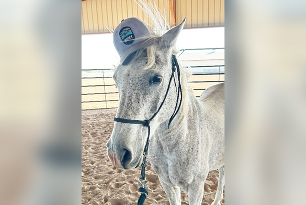 brandon wearing a hat