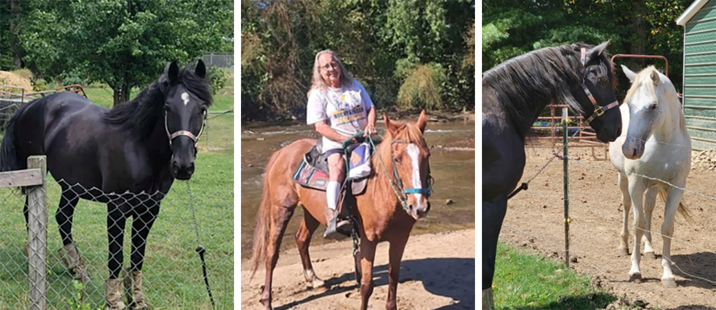 From left: Burke in booties for his hoof soaks; Deb on her horse, Shebella; Burke with Deb’s horse Binx.