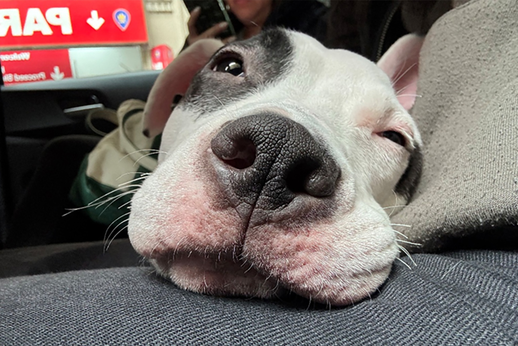 Close up on Chip's face in a car