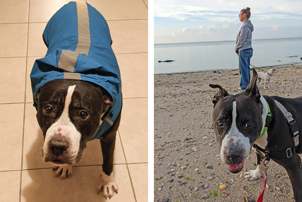 Kenny wearing a jacket (left) and Kenny at beach with Lex and Pepper
