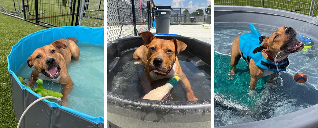 Slinky in small pools