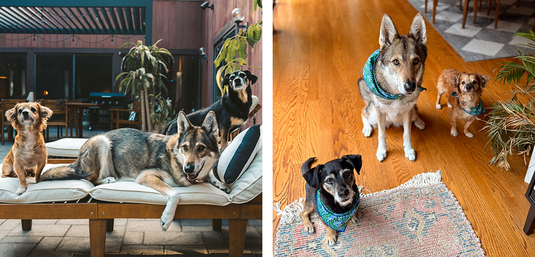 Tiki with Meyer and Gaia