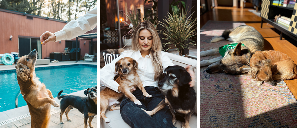 Tiki at his new home