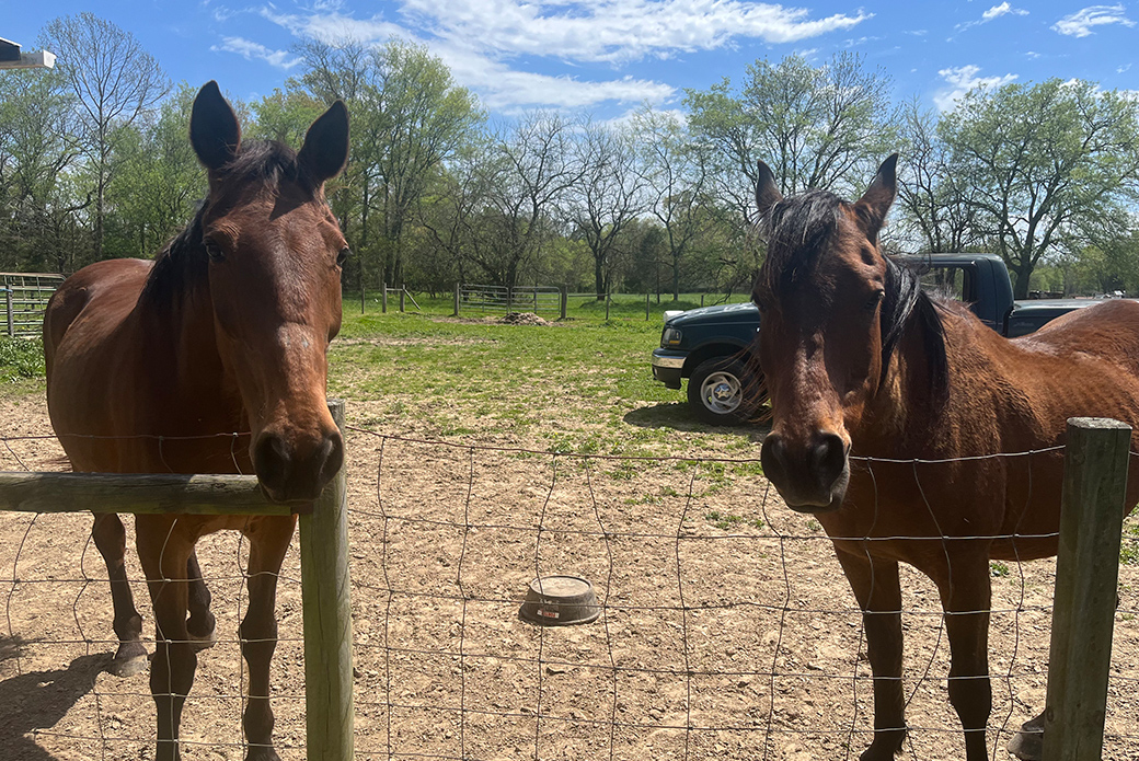 Tootsie Roll and Theo