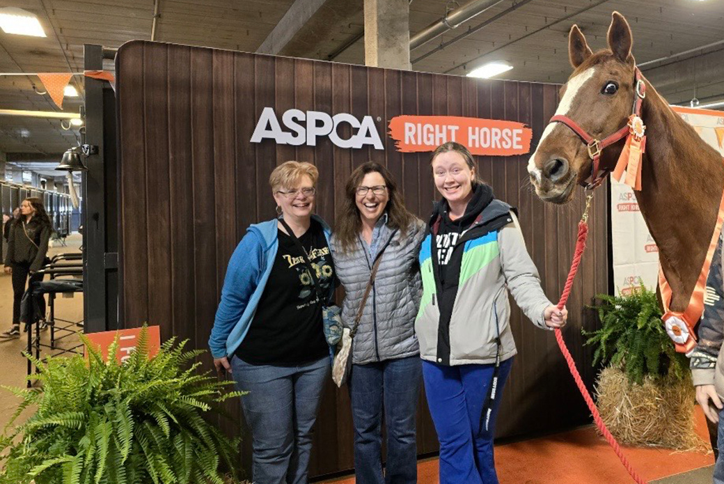 Brianne and Toledo at the Equine Affaire