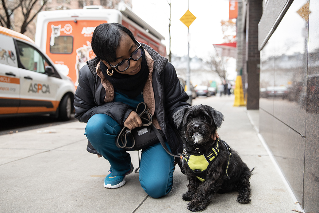 Warthog and Jada Ebanks