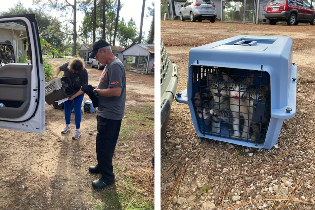 Responders with rescued pets