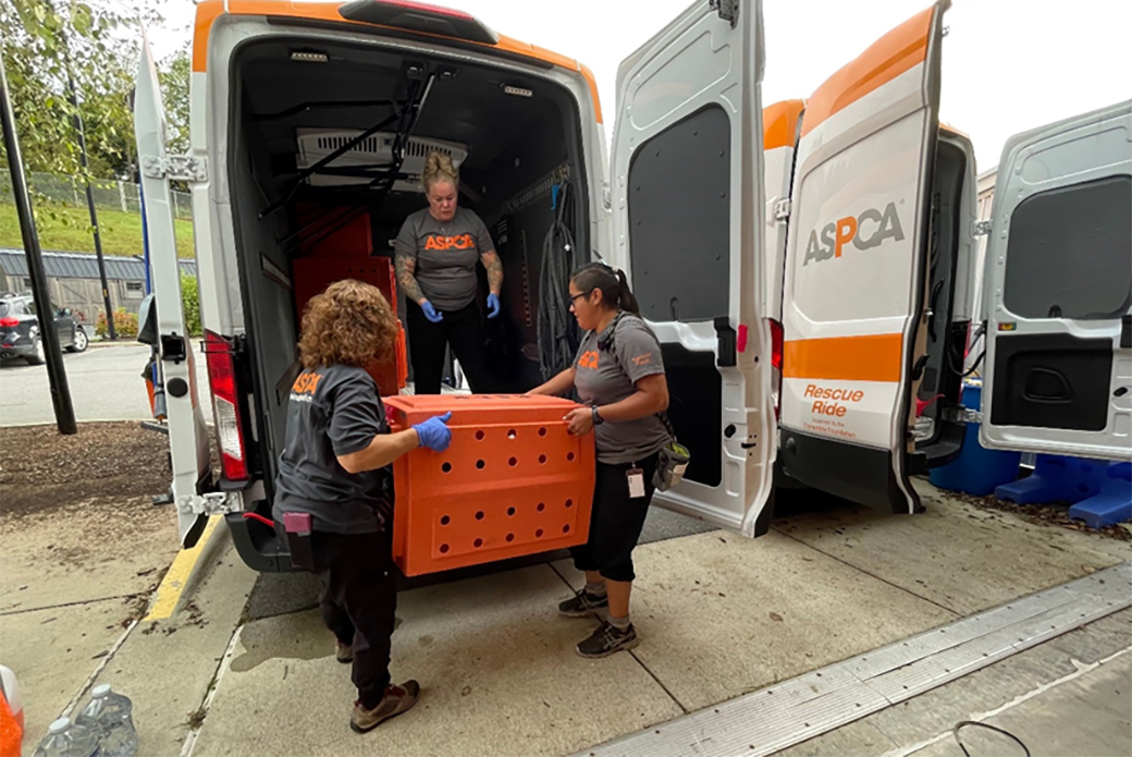 ASPCA Relocation & Placement team evacuating homeless dogs from North Carolina to Ohio.