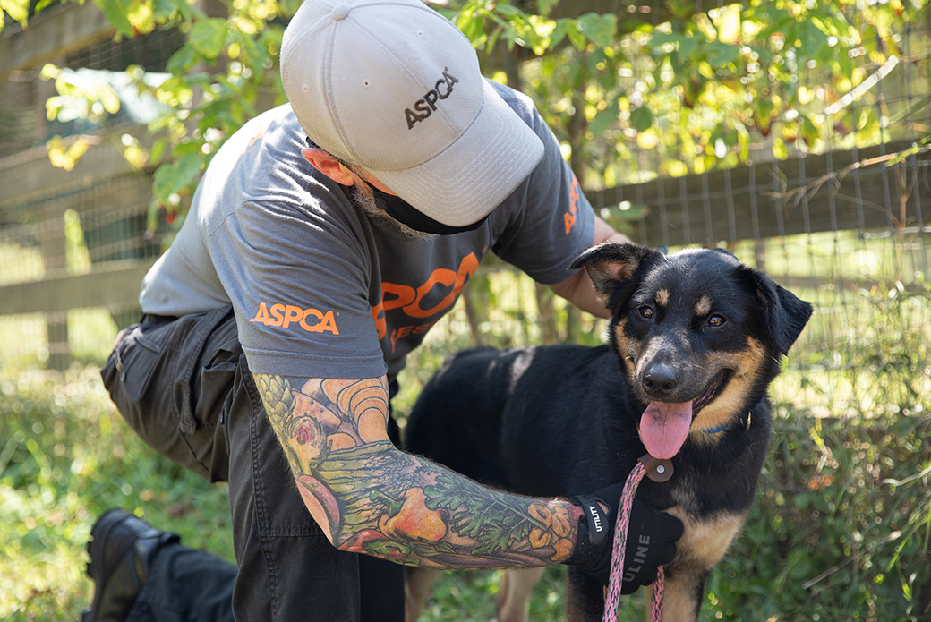 a responder with a dog