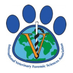 ivfsa logo