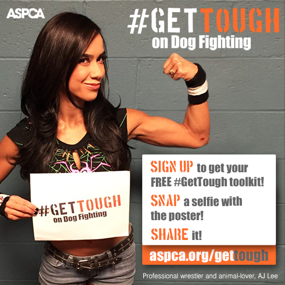 Join the ASPCA and Professional Wrestler AJ Lee to #GetTough on Dog Fighting