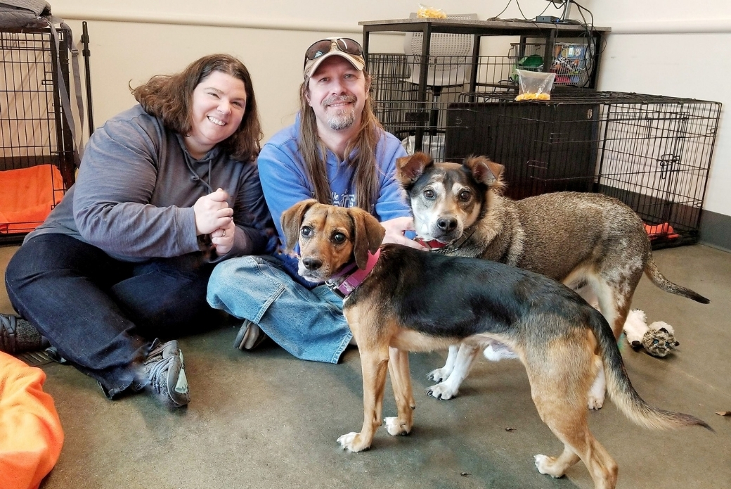 A man and a woman sitting on the floor next to two dogs