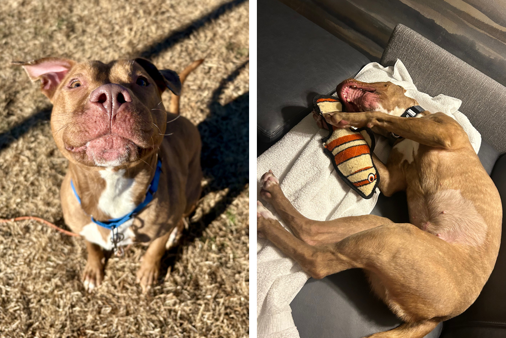 Leapfrog outside looking up (L) and playing with fish toy on sofa (R)