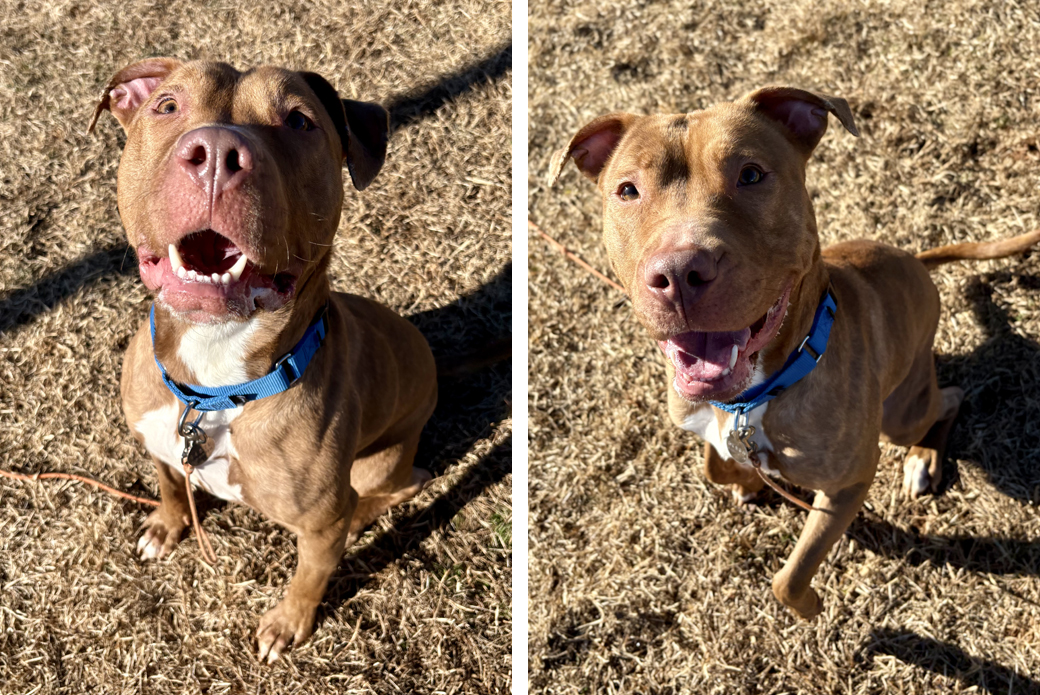 Leapfrog happy outside in the sun