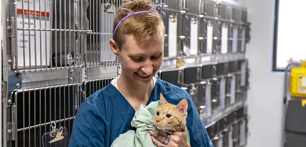 A cat being held by ASNA staff