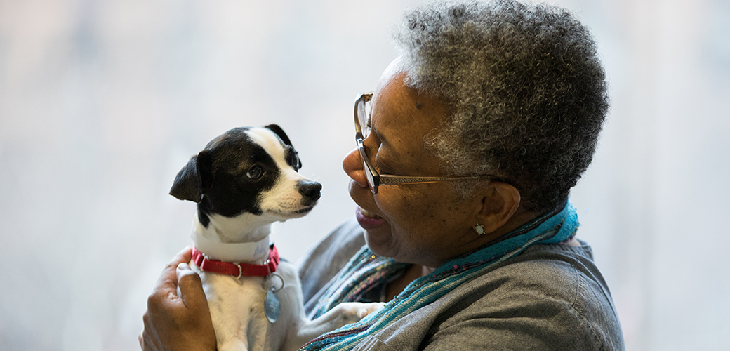 a woman holding a small brown and white dog