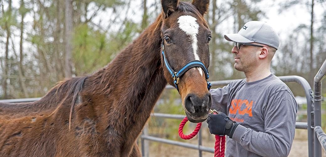 Matt Bershadker with a horse