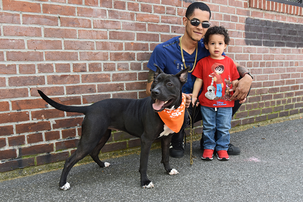 Koko, Anthony, and his child