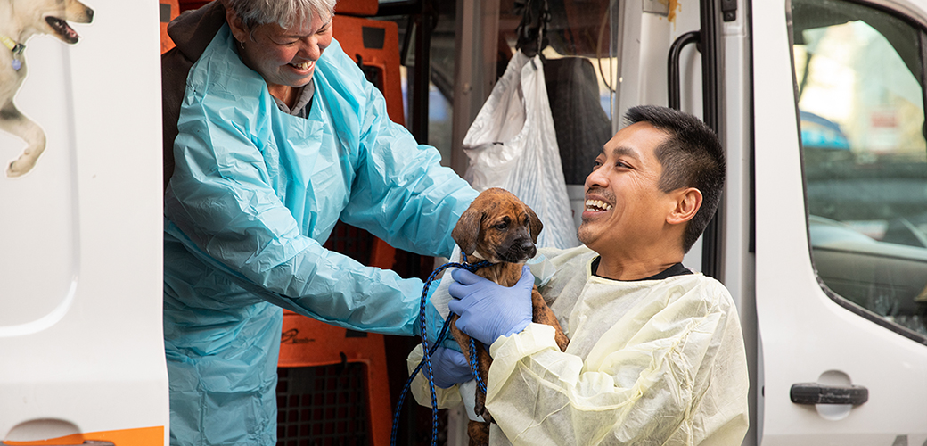 a puppy being transferred out of the transport