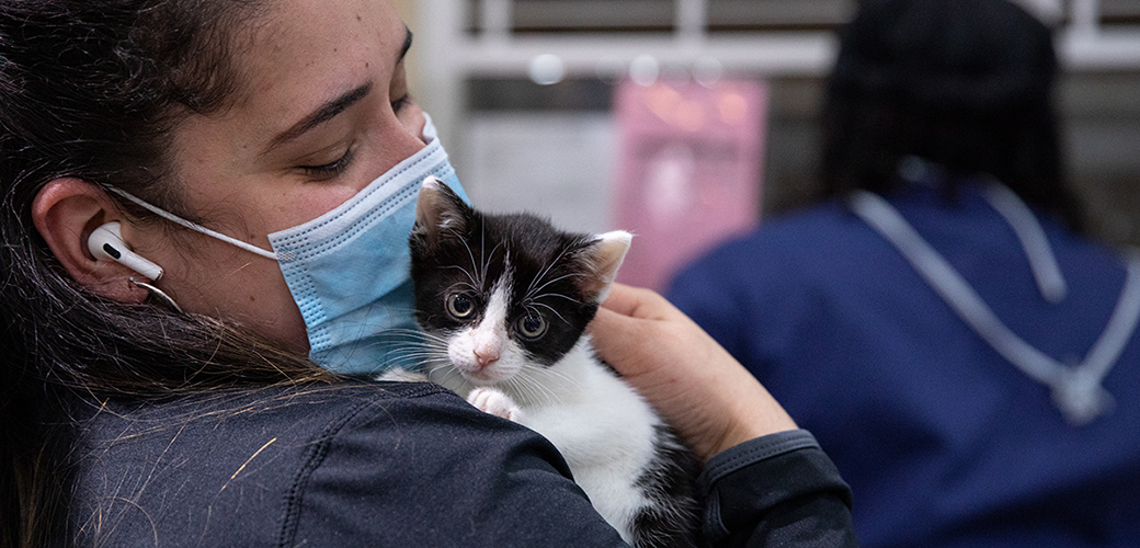 ASPCA staff member holding a kitten