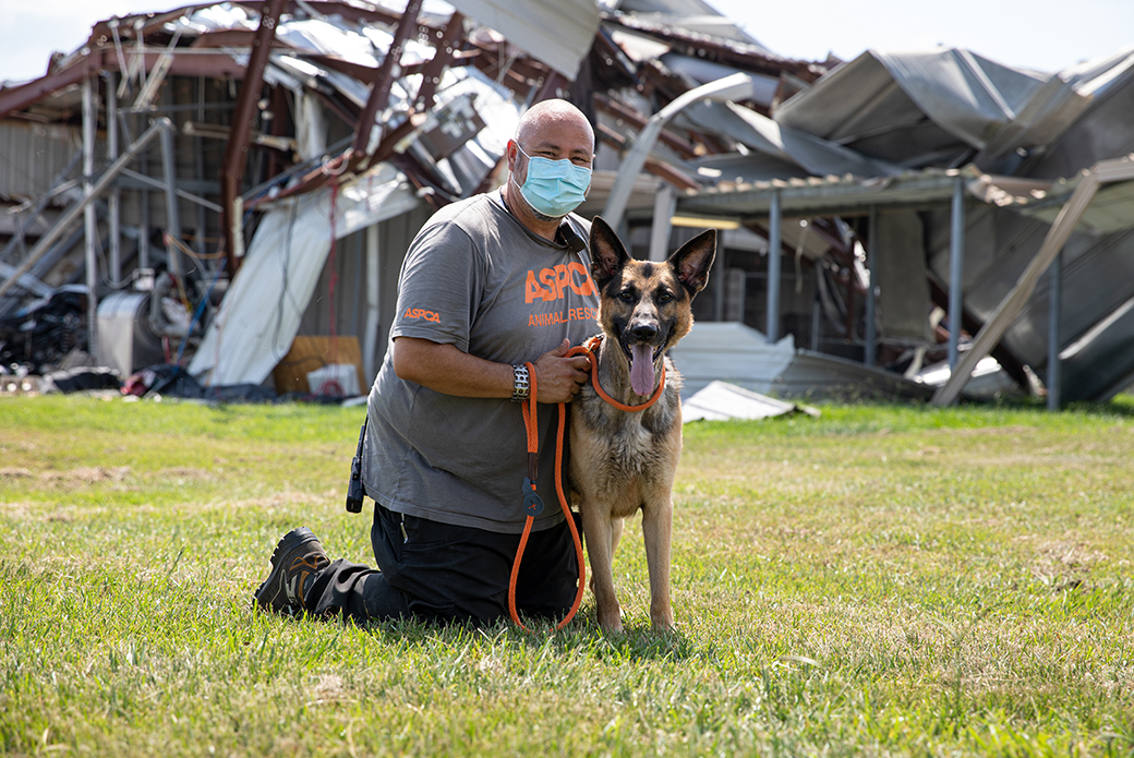 Man with dog in front of wrecked houses