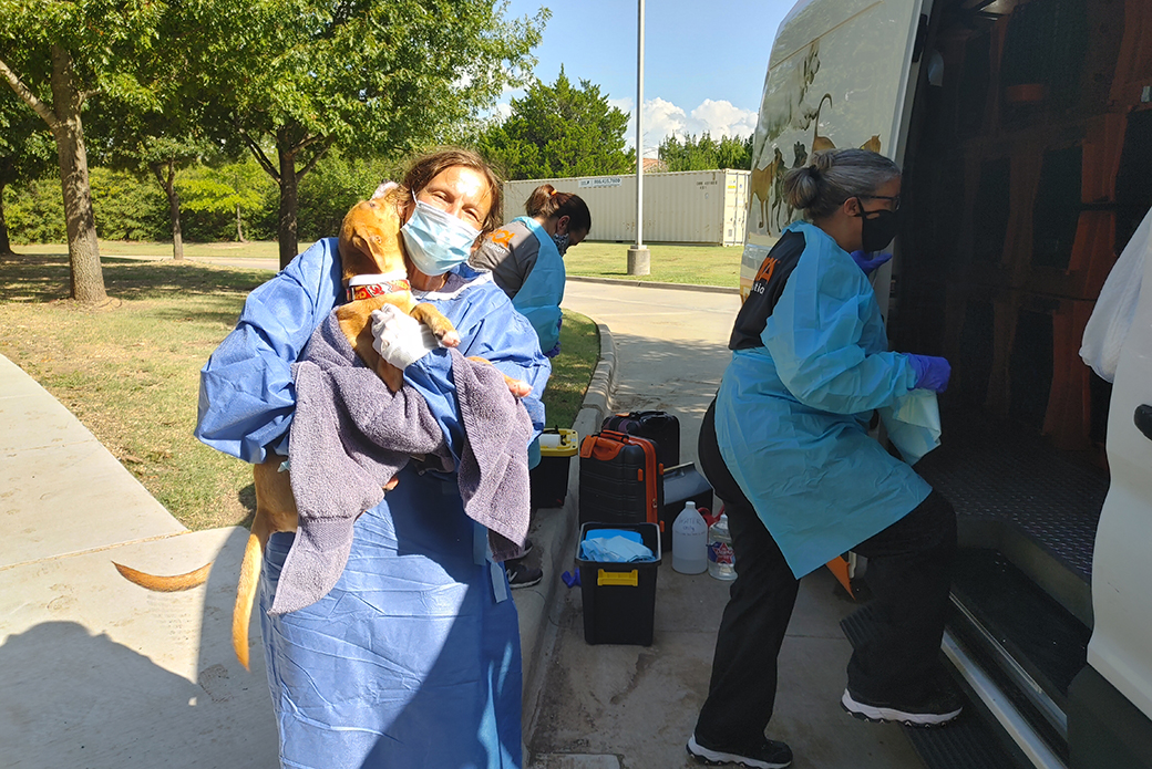 Responders helping dog