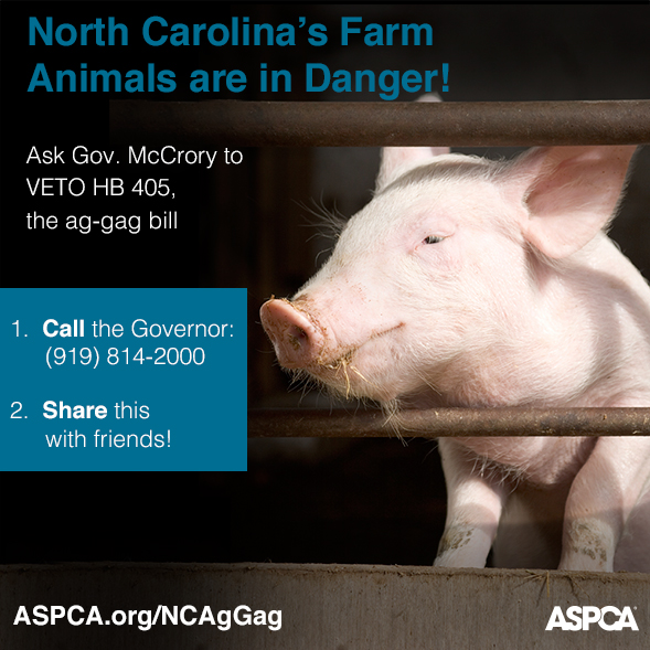 Help! What Happens on North Carolina Farms Does Not Stay in North Carolina