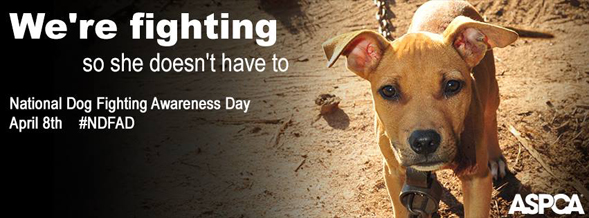 National Dog Fighting Awareness Day Facebook Cover