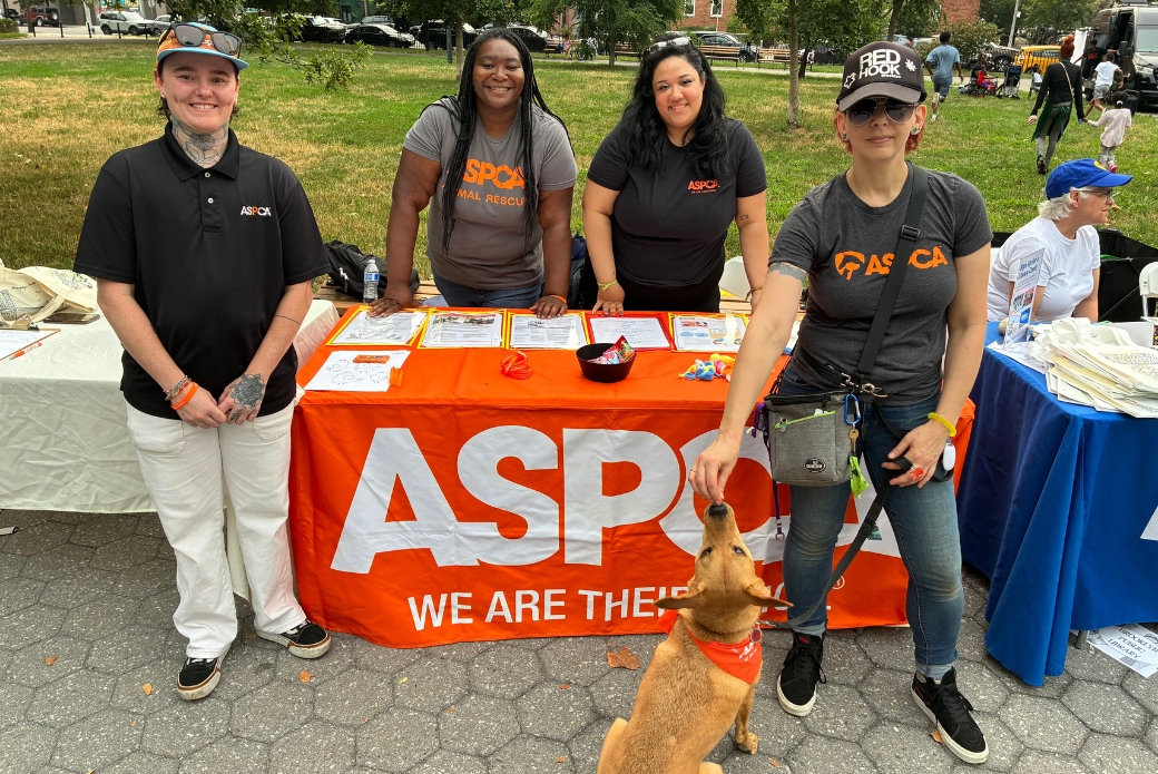 ASPCA staff and a dog posing in front of an event booth
