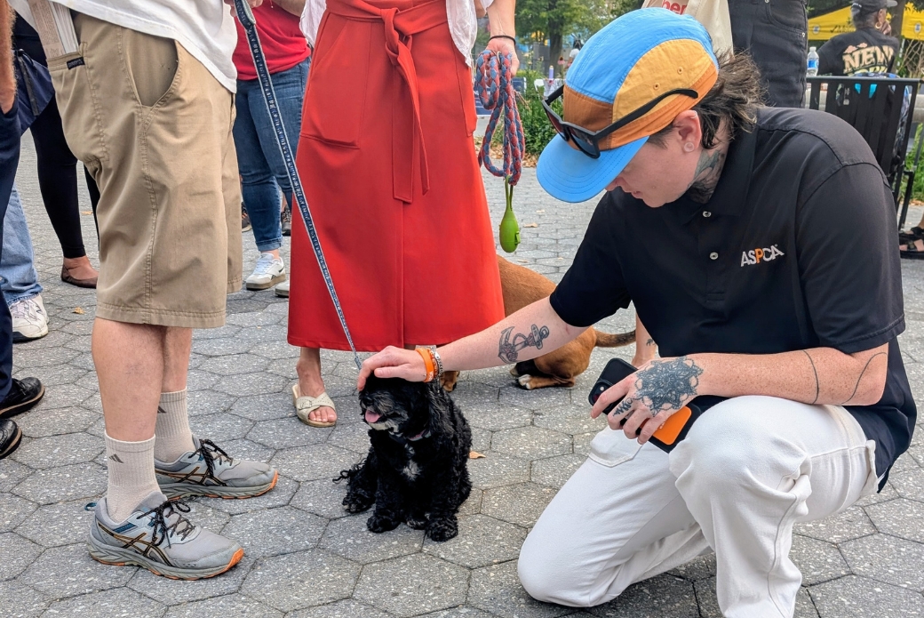An ASPCA staff member petting a small dog