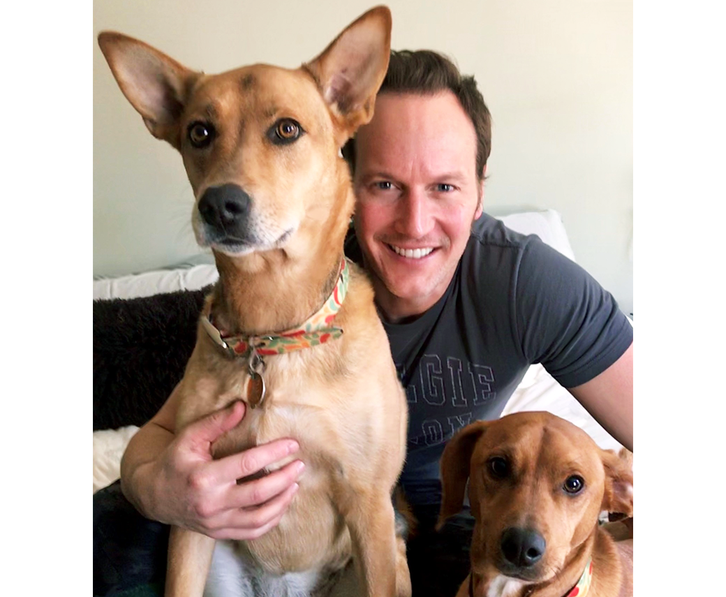 Patrick Wilson and his dogs