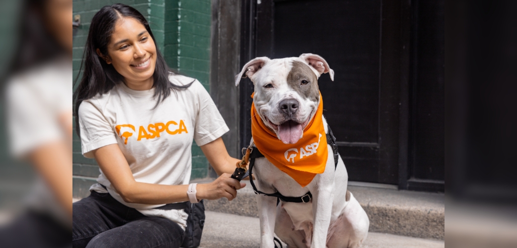 A dog and a woman sitting next to each other, smiling