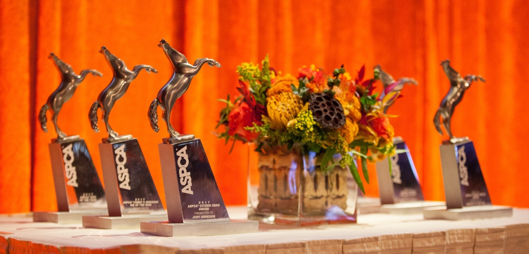 Awards and flowers on a table