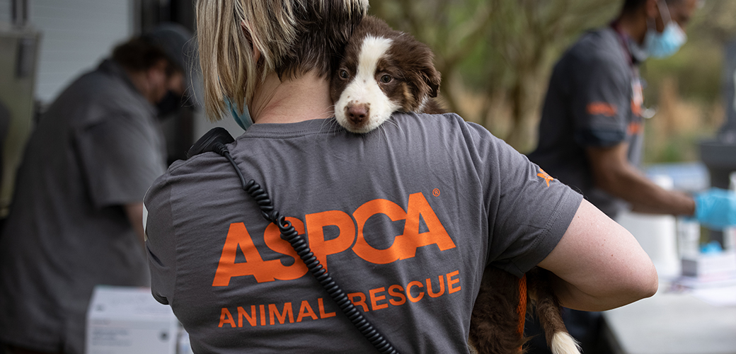 ASPCA responder carrying a rescued puppy