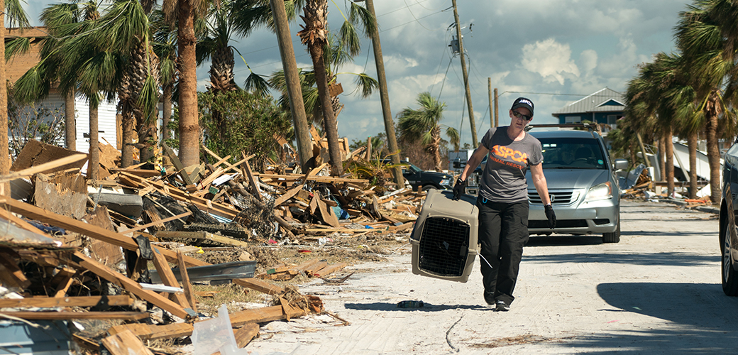 ASPCA responder in florida