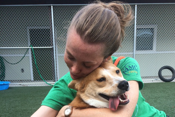 Dog getting a hug from worker at ASPCA Behavioral Rehabilitation Center