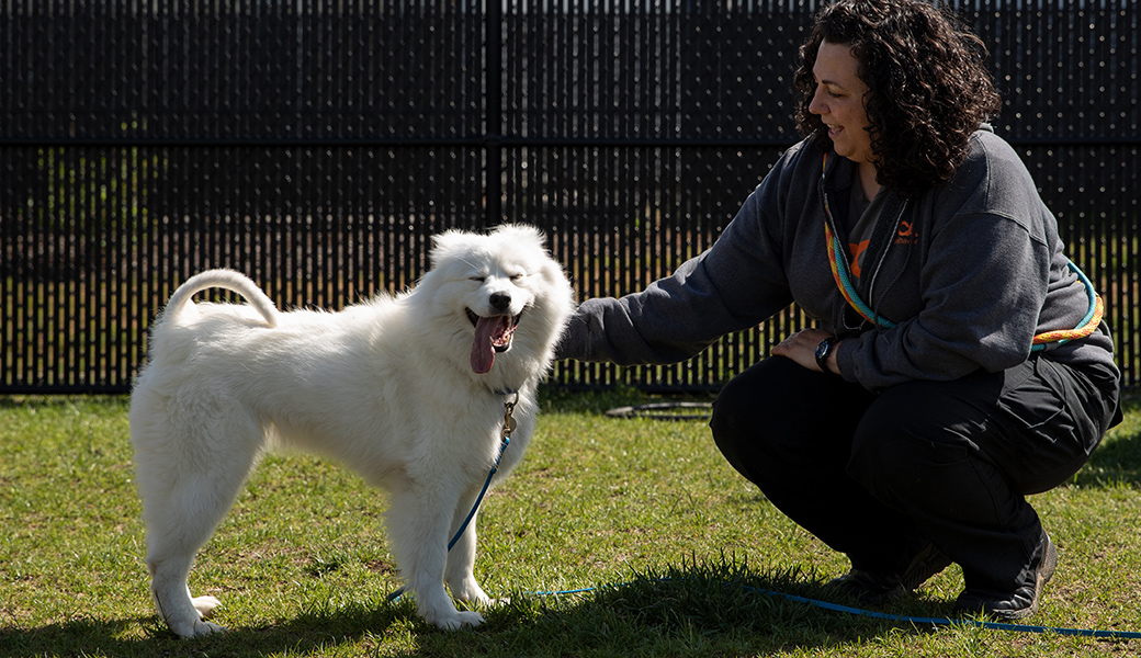 Casper at therapy