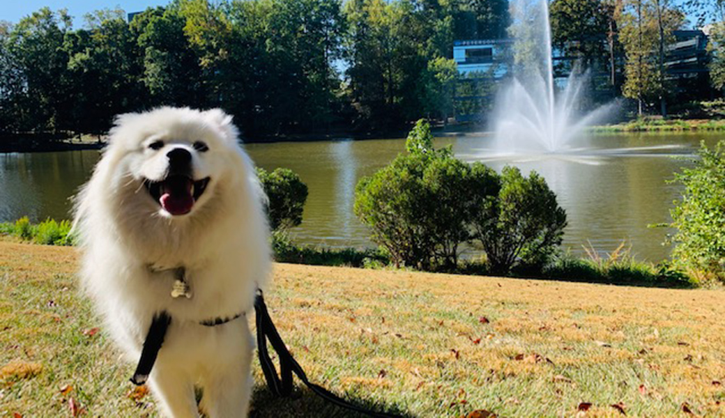 Maybel on a walk near a pond