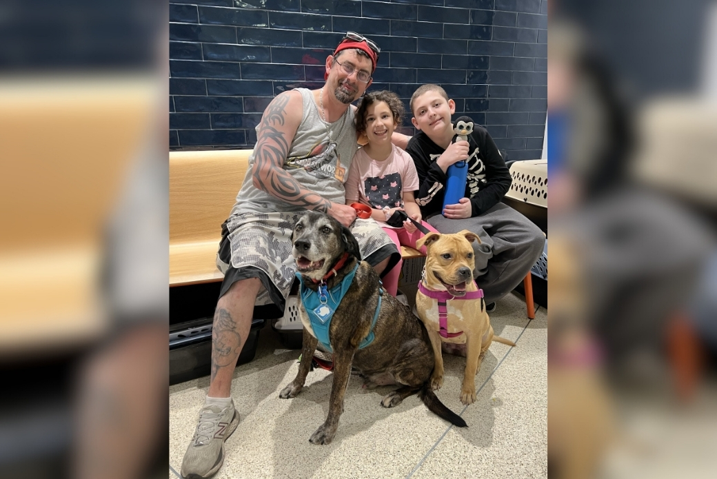 A man and two kids with two dogs sitting together