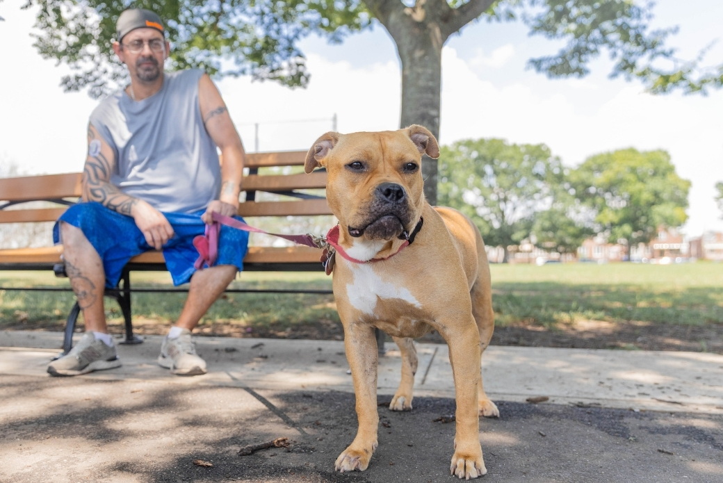 A man on a park bench holding the leash of a brown dog