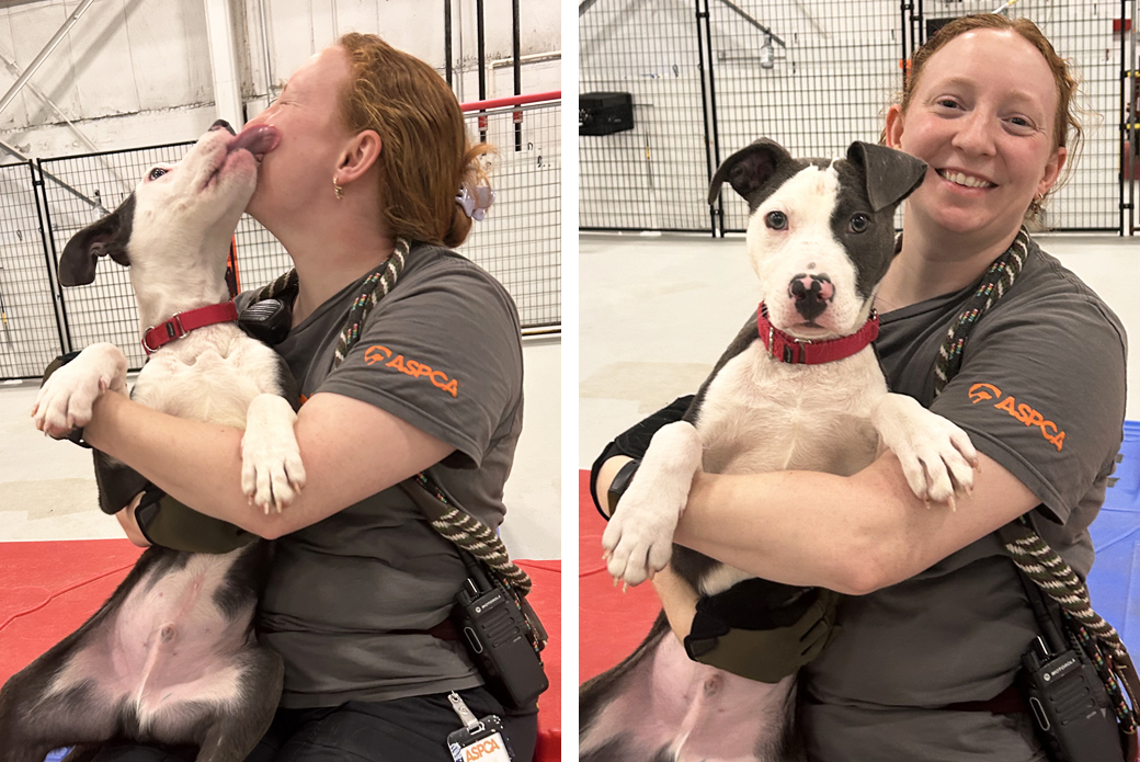 Sgaeyl giving kisses