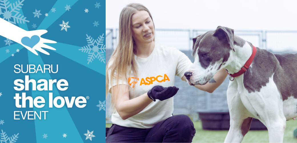 ASPCA employee with Great Dane